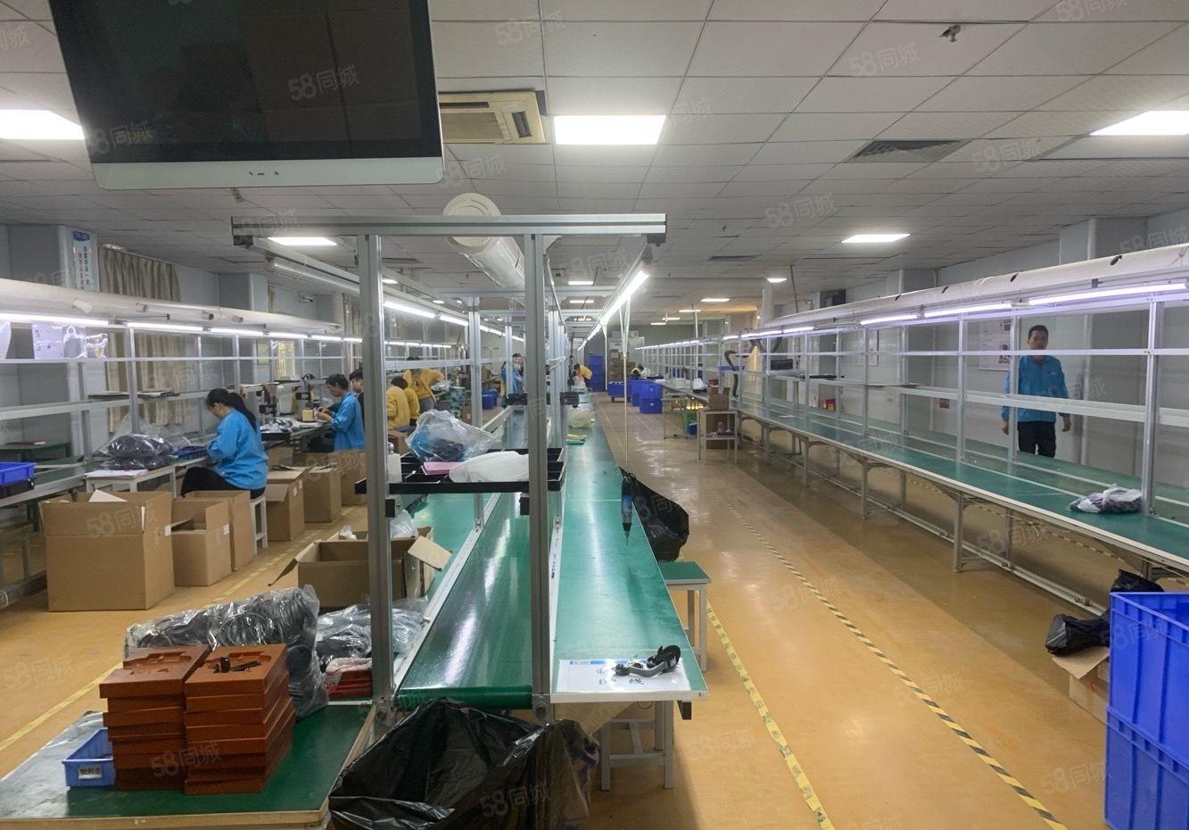 常平新出花园式厂房 实际面积 带现成豪华装修 工业用地。