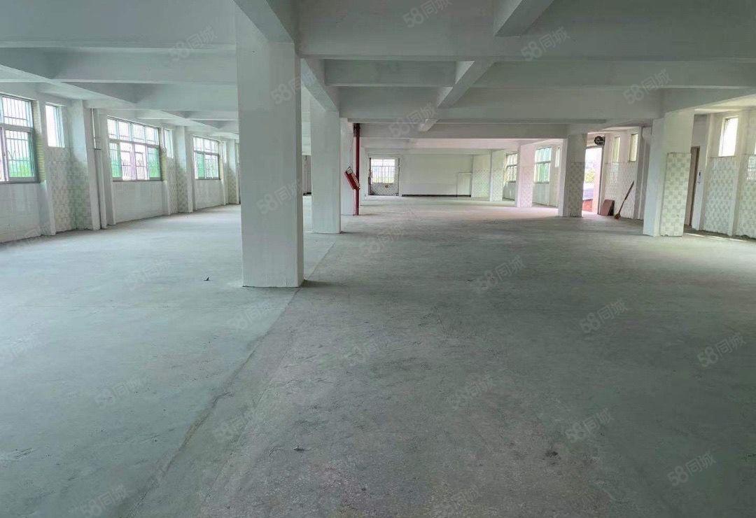 常平京九附近厂房分租单层面积500平和1000平可以分租