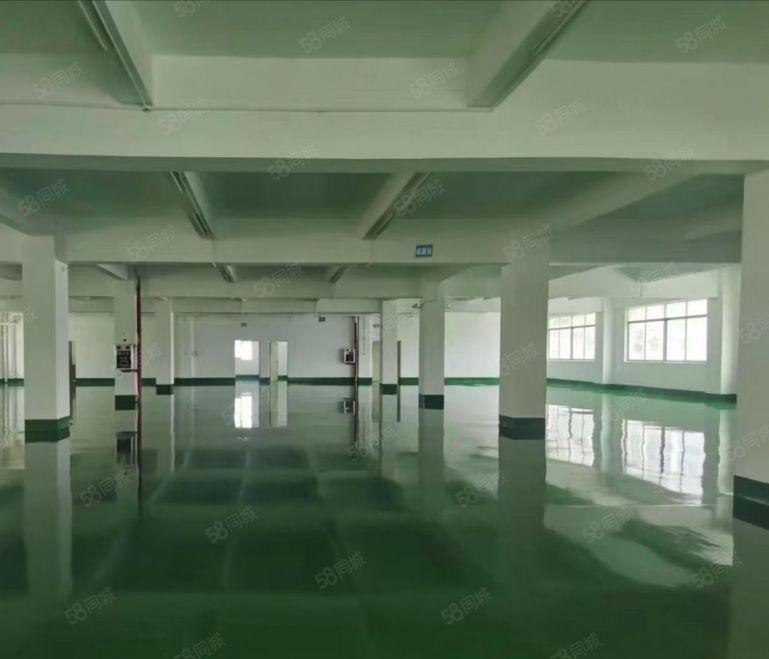 常平镇原房东标准二楼1200平方厂房出租，价格便宜，交通便利