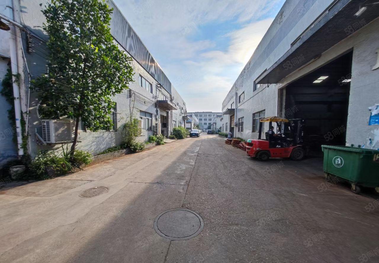 原房东厂房常平高速附近单一层钢构900平，水电齐全