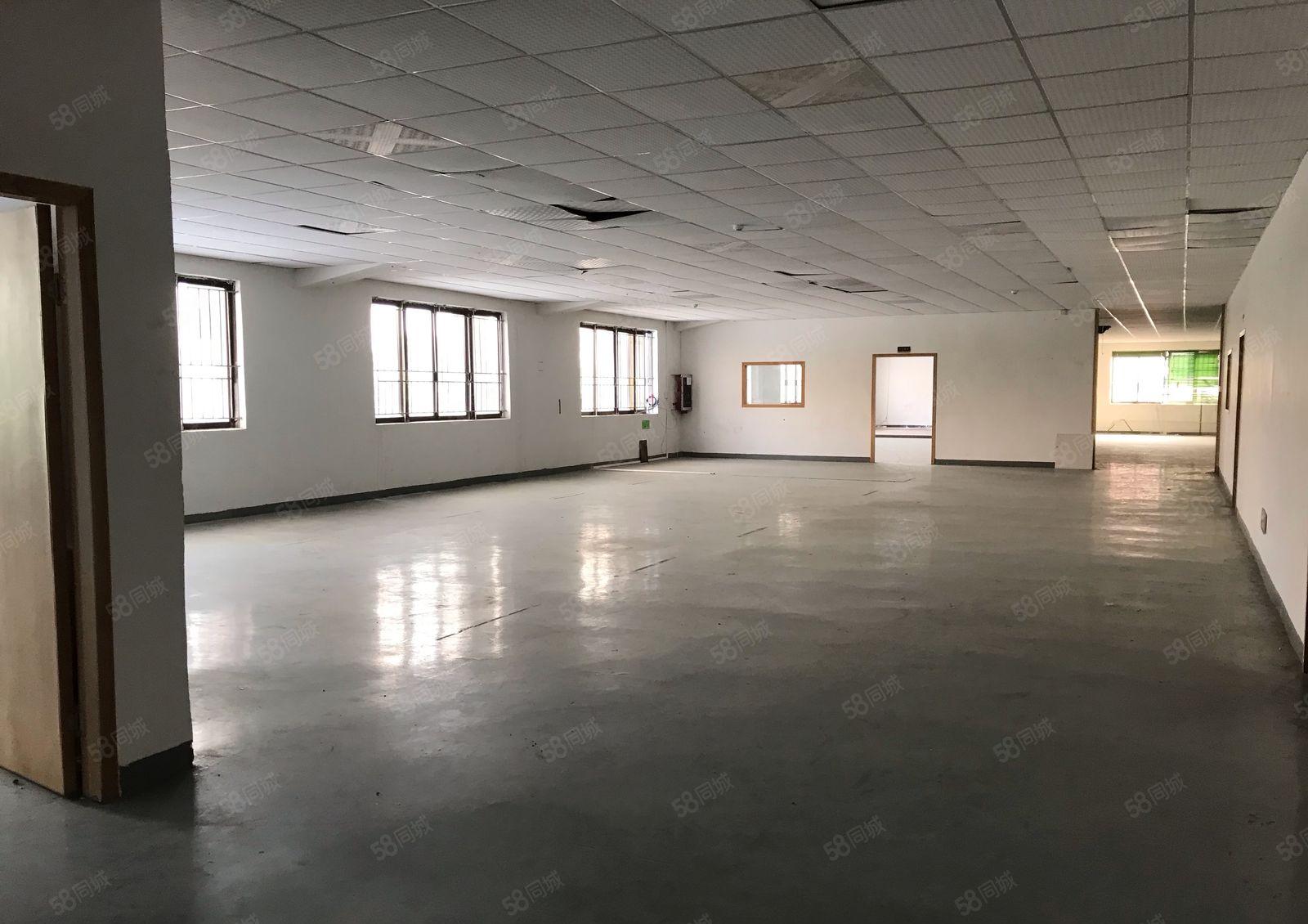 常平板石新出楼上2000平带精装修厂房