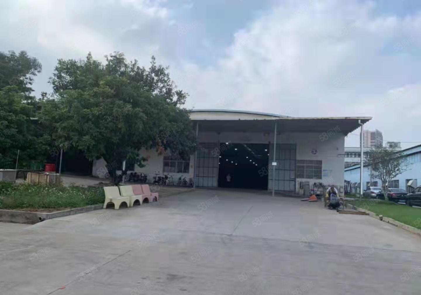 实业客出租土塘科技园独栋单层3280平滴水7.5米中间无柱子