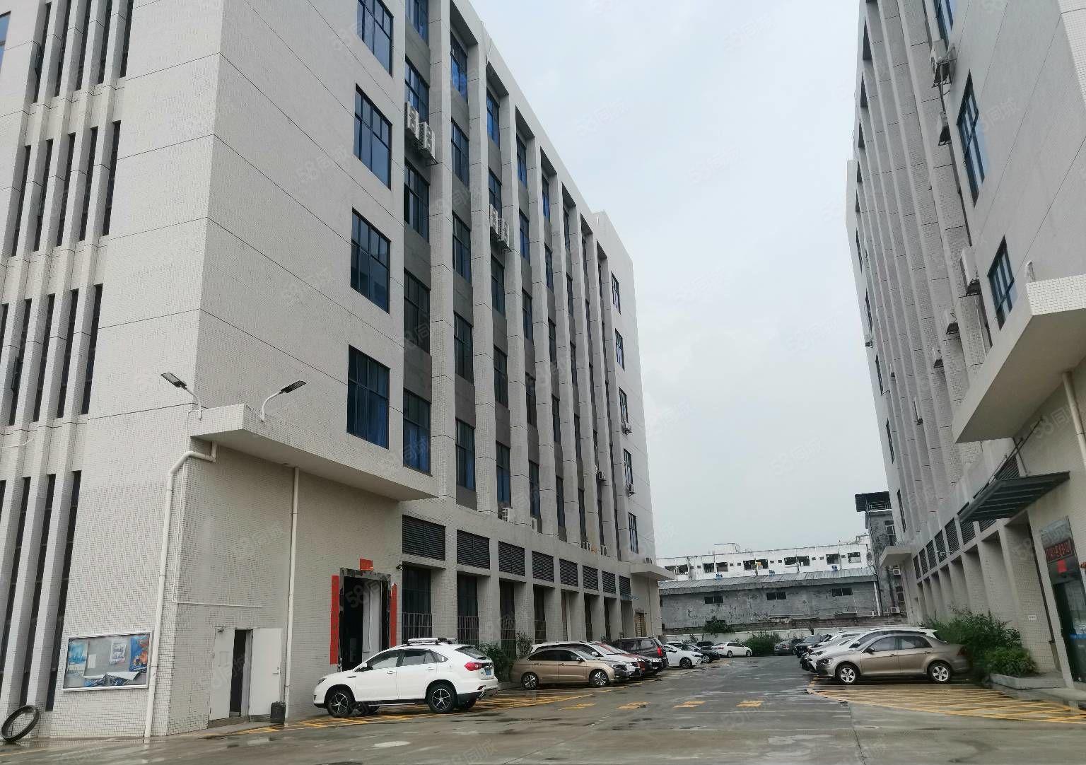 常平镇新出楼上全新厂房，精装修，300平方起租。