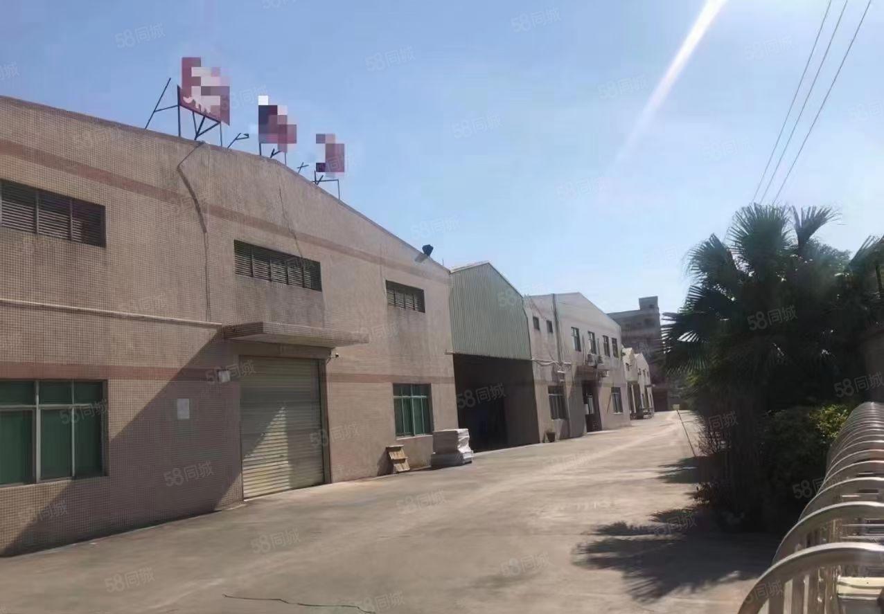 常平镇高速路口附近砖墙到顶单一层钢构独院15000平厂房出租