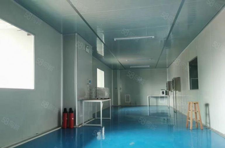 常平独院新空无尘车间厂房出租，950平带精装修现成主线到车间