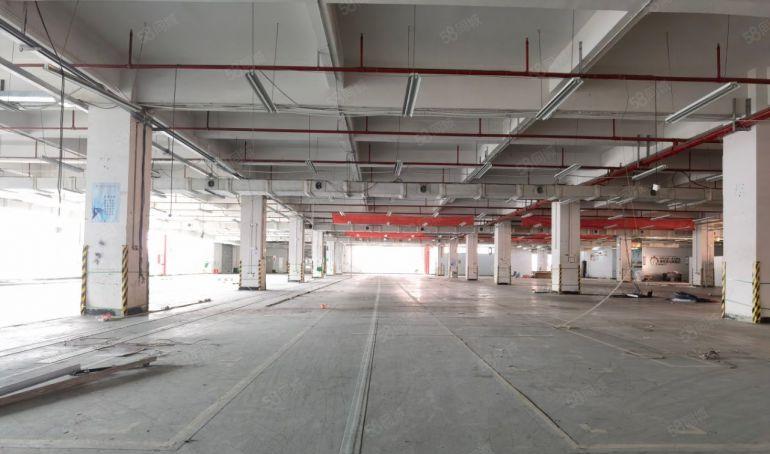 常平靠东坑全新精装修两部三吨货梯带卸货平台