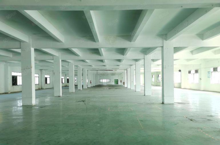 常平镇高速口原房东独院13045平出租 工业用地 水电完好