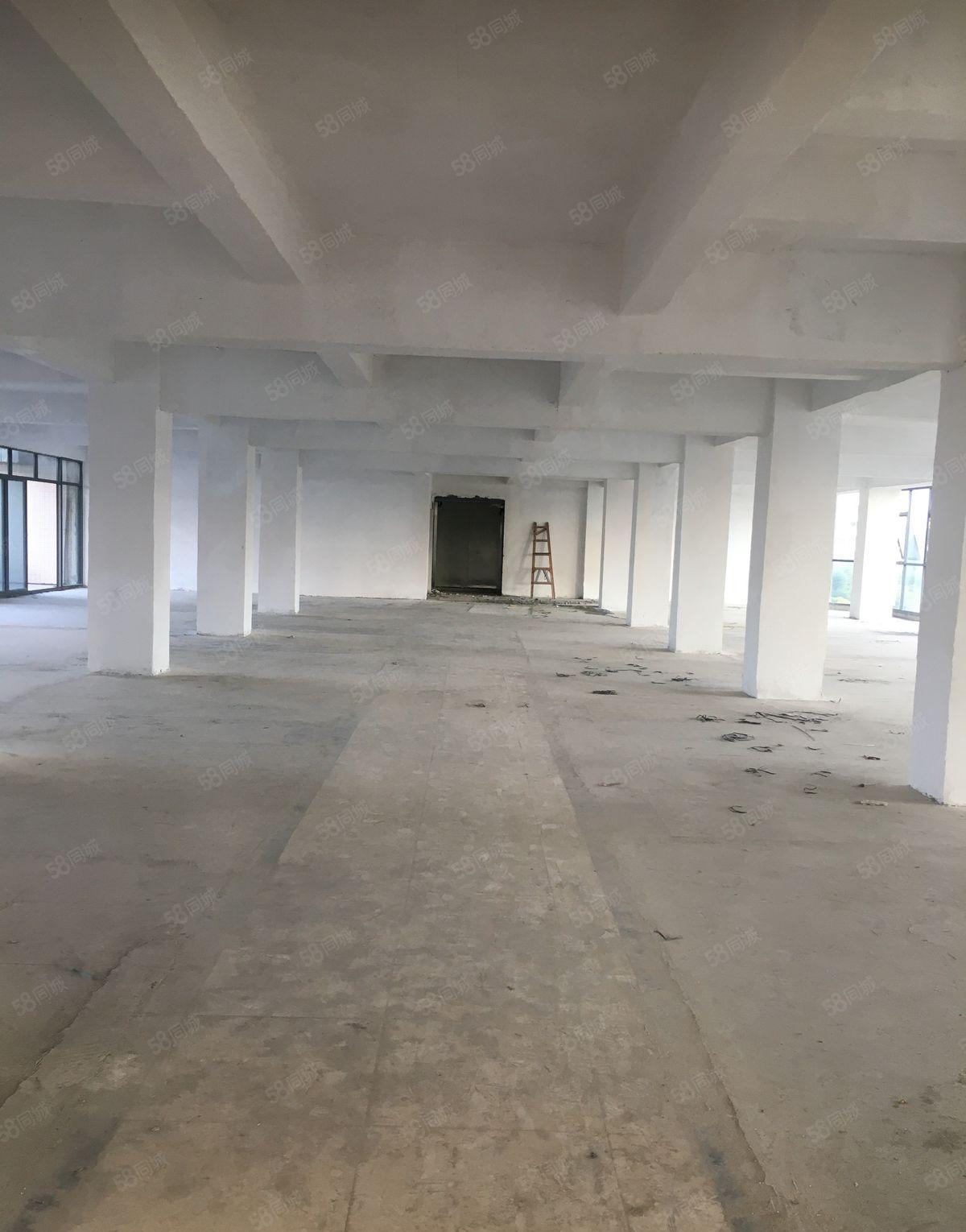 常平镇陈屋贝厂房出租