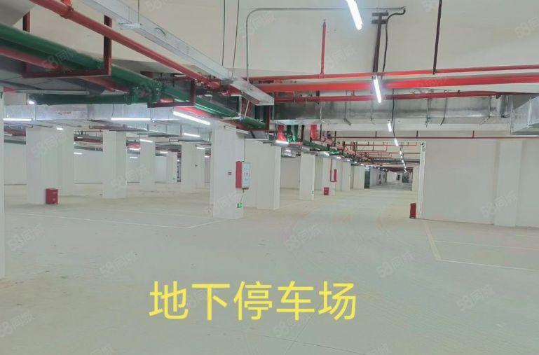 全新红本厂房出租，带丙类消防，主线3百千瓦到每一层车间超划算