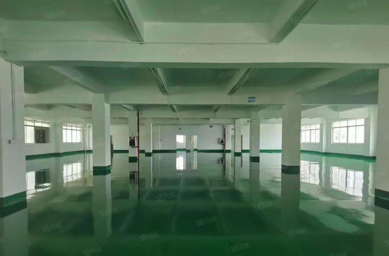 常平镇原房东标准二楼1200平方厂房出租，价格便宜，交通便利