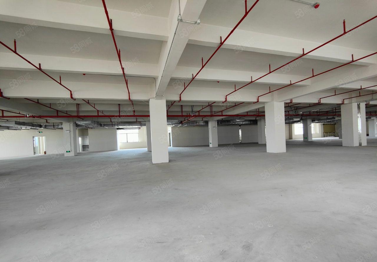 可分租！东莞常平镇 独门独院标准厂房出租，园区证件齐全空地大