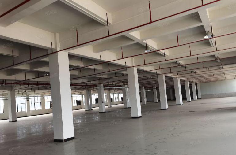 常平横沥原房东可分租3楼整层2700平方高5米现成装修好招工