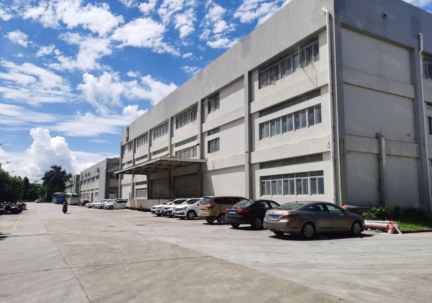 常平独院无柱子代价原房东环保厂房出租