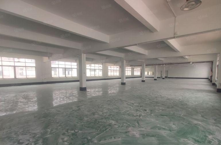 原房东自用房，现成办公室，降价出租