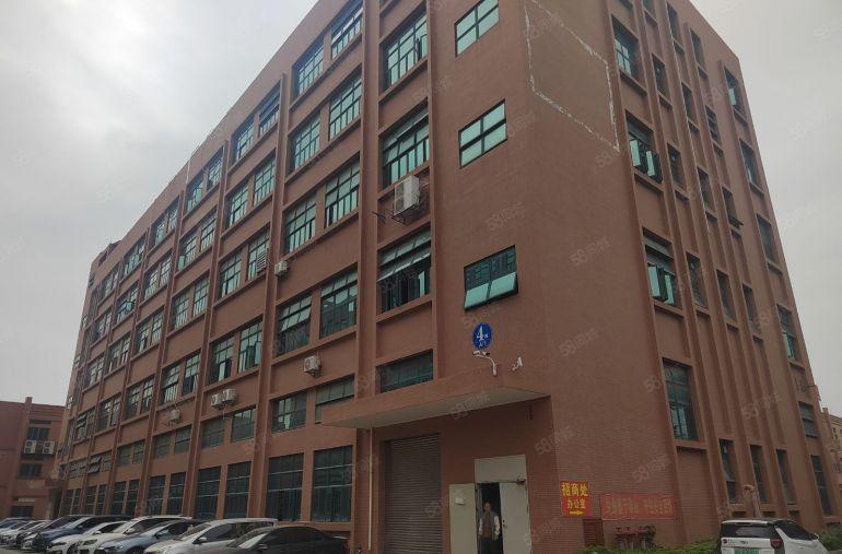 常平花园式独门独院原房东标准厂房一楼1760