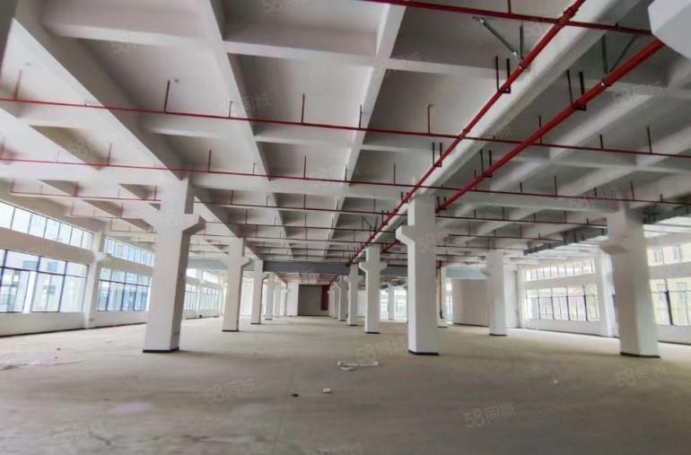 常平全新独院标准厂房出租8000平方米，带消防喷淋