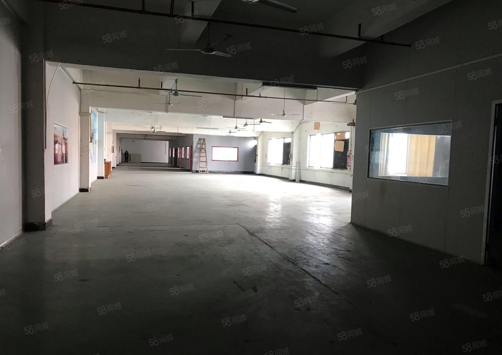 常平金美园区新出三楼3400平带精装修厂房