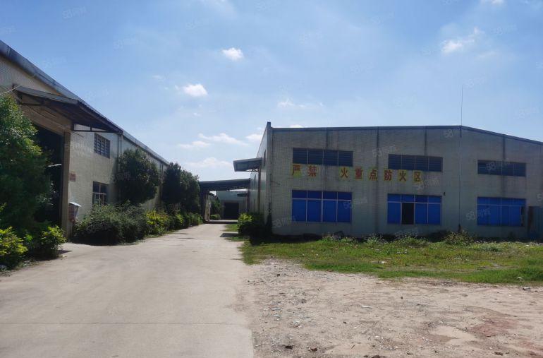 常平司马单一层钢构滴水8米厂房分租独栋3000平方可低价分租