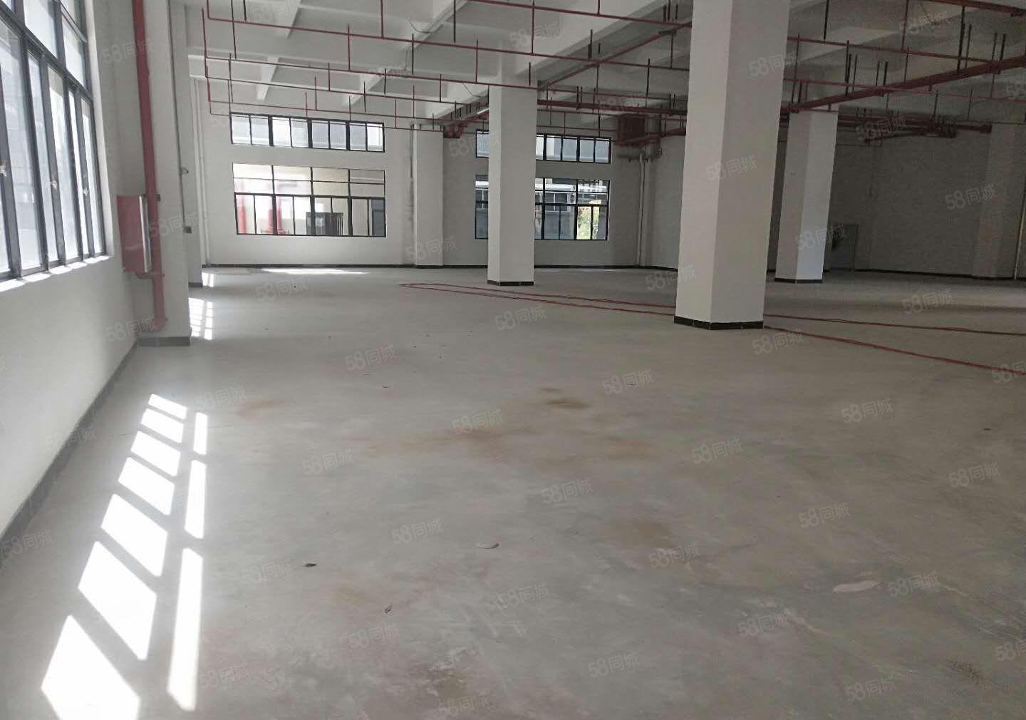 常平新出原房东自建标准厂房对外低价出租