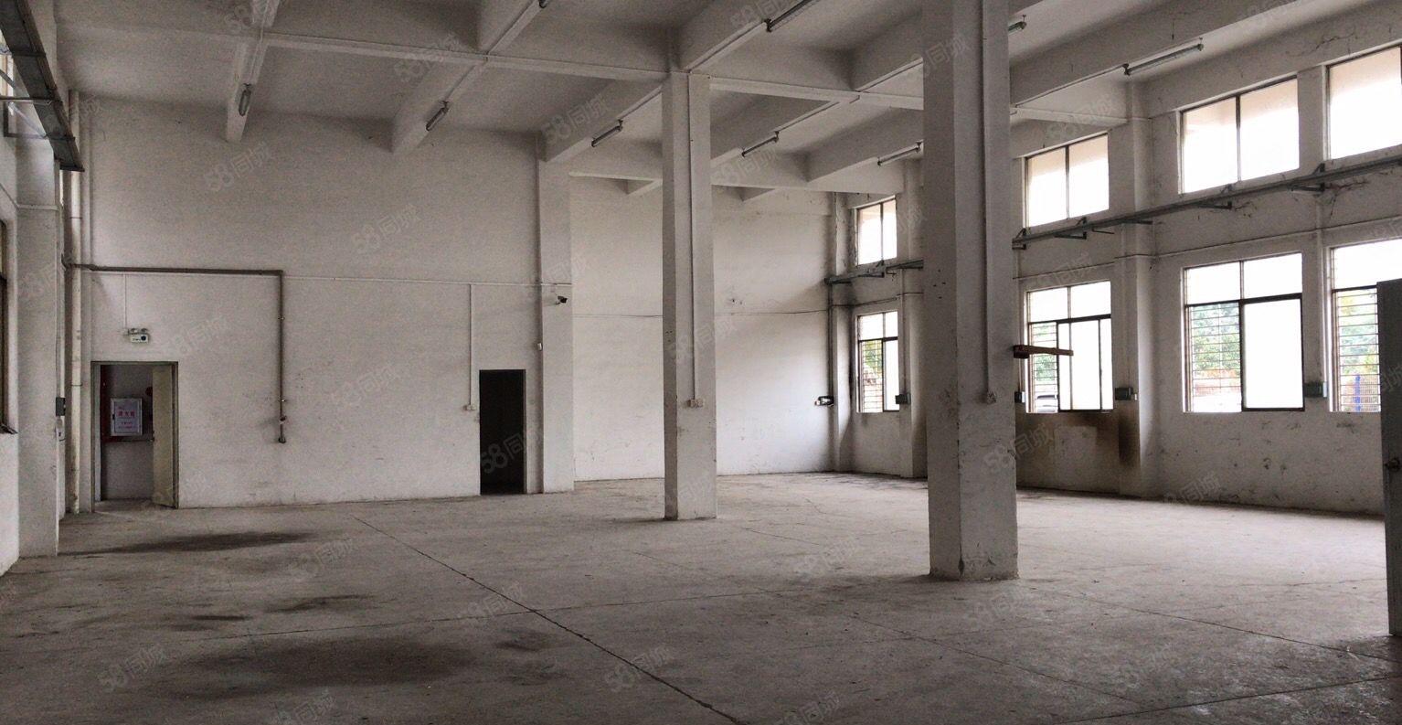 常平新出一楼700平高6米厂房工业用地