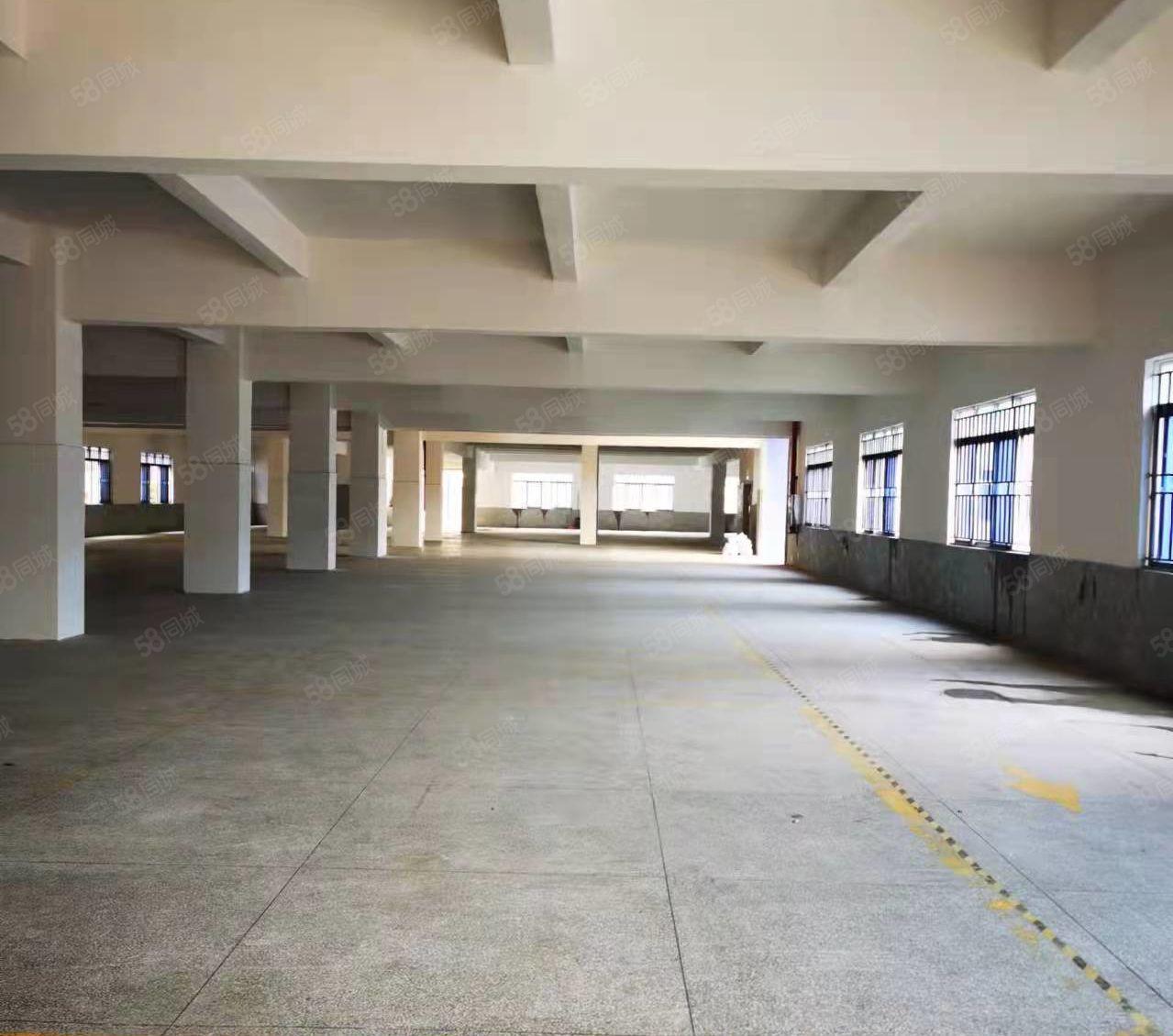 D9 139 2345 1489常平全新特价厂房