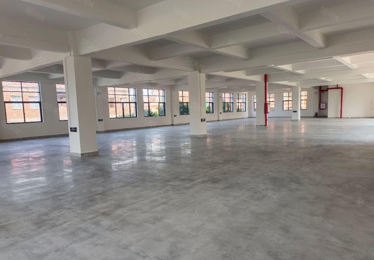 常平袁山贝厂房低价出租独院6000平米外观形象全新交通便利。