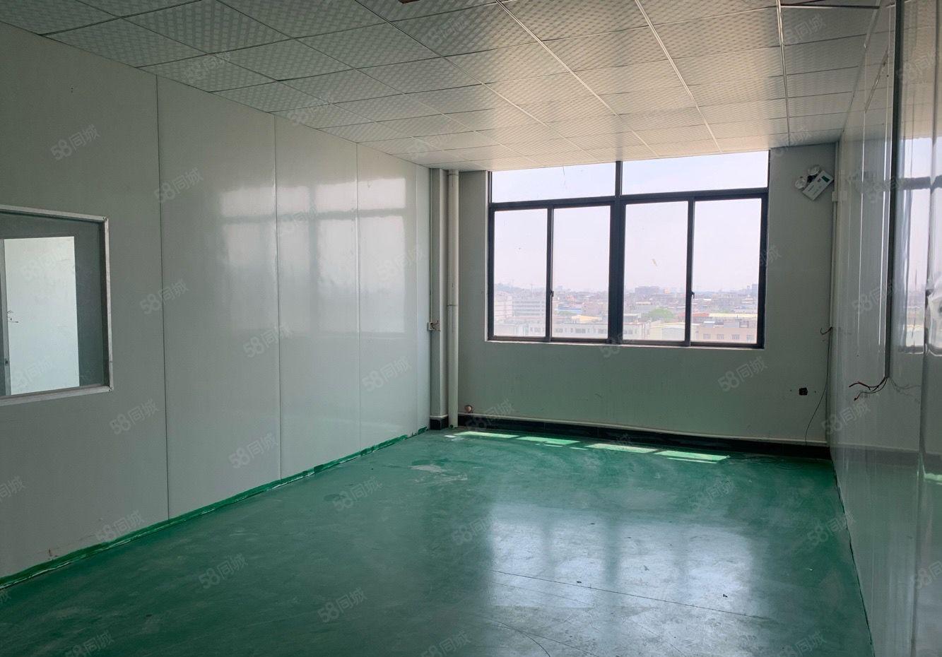 常平镇现成精装修厂房，人流量大，易招工，面积实在，入驻即生产