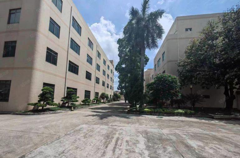 常平横江厦标准厂房出租，一楼600平，二楼800平，租10元