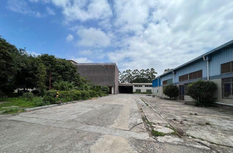 常平司马原房东单一层1万平方，带独立办公楼，消防喷淋