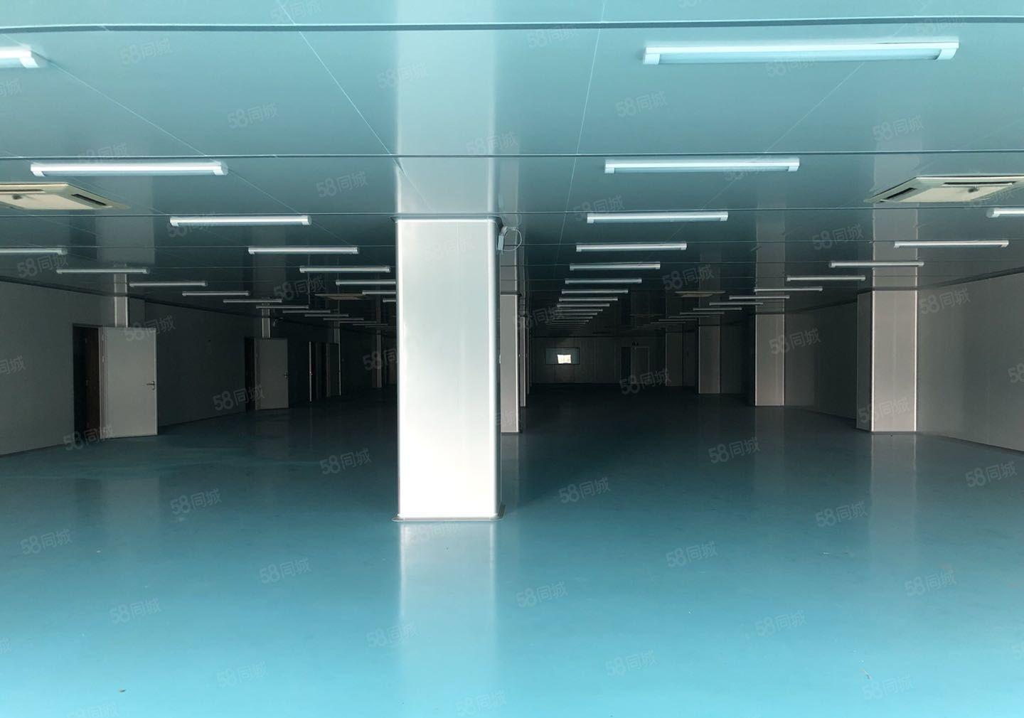 常平独院无柱子代价原房东环保厂房出租