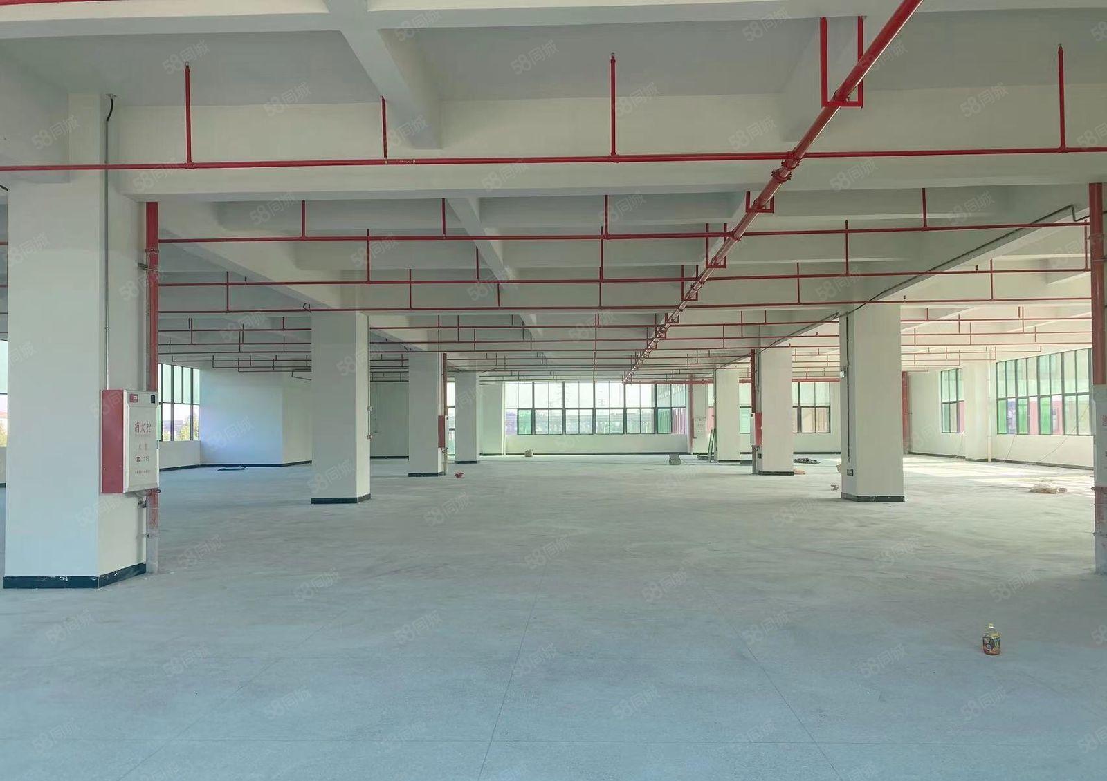 常平土塘全新独门独院厂房出租