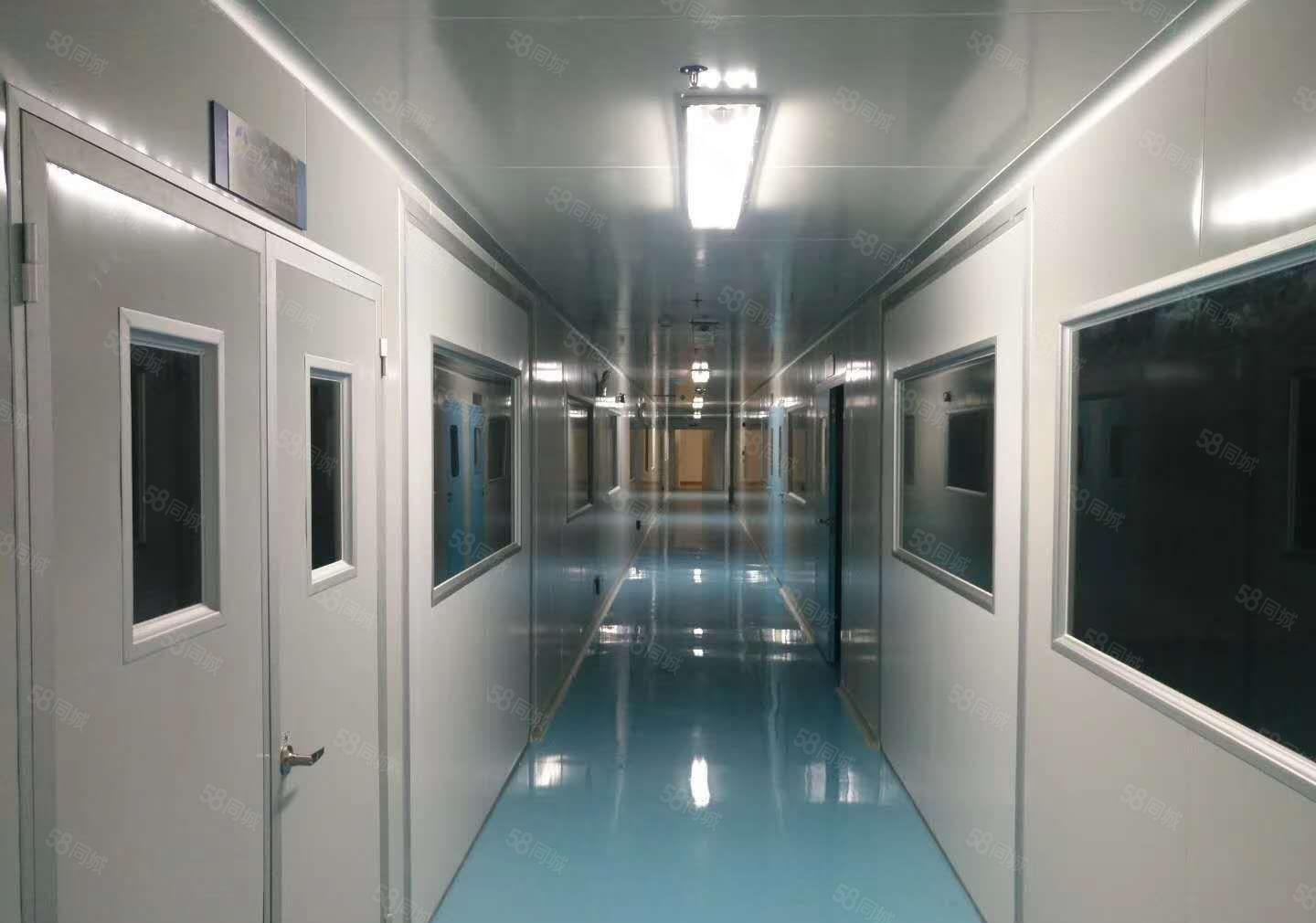 （厂房急租）常平全新无尘车间5000平带全新装修有消防喷淋