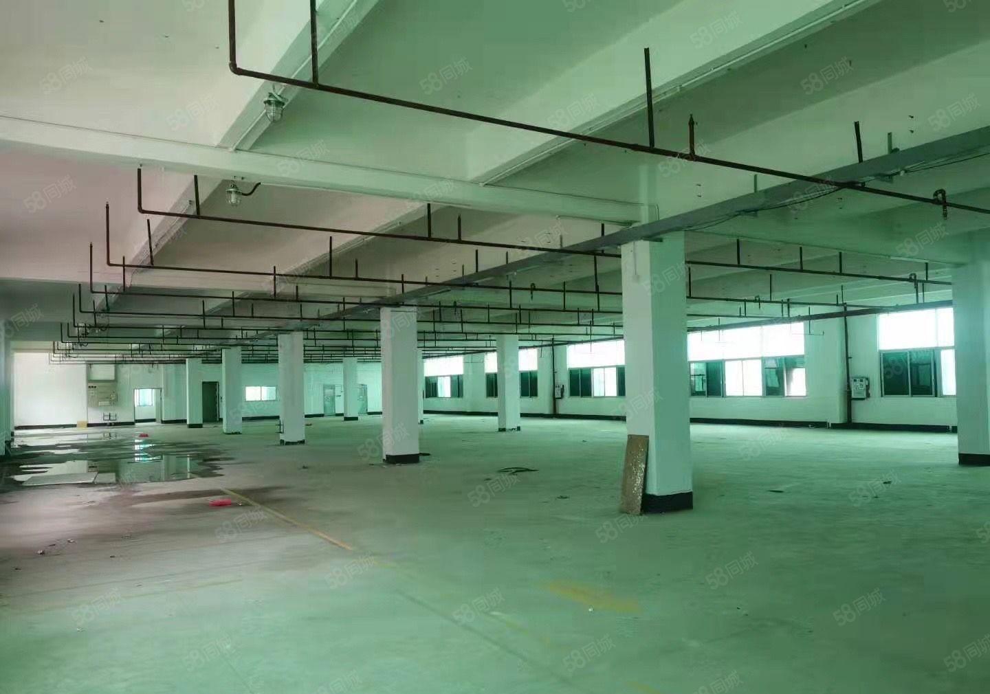 常平镇中心附近厂房出租面积4800平和3千平可以分租