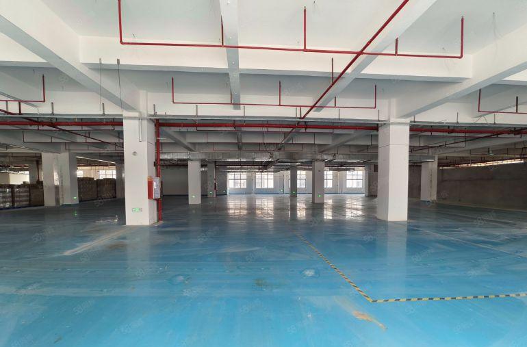 常平新出楼上3000平精装修厂房带现成水电办公室地坪漆可分租