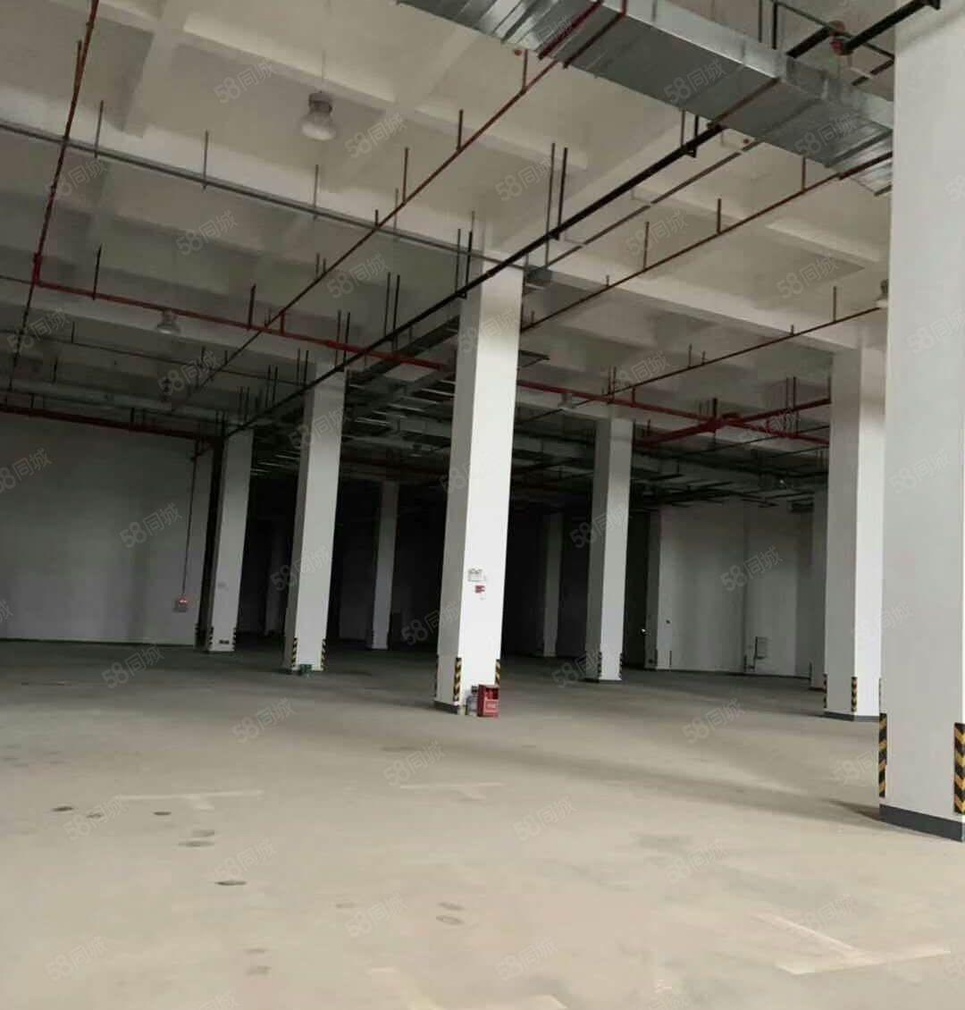 钜惠！常平镇全新标准厂房出租，独门独院  可办环评 大小可分