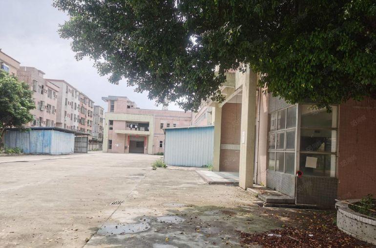 常平黄泥塘形象好易招工标准独院厂房仓库分租一二楼各2000平