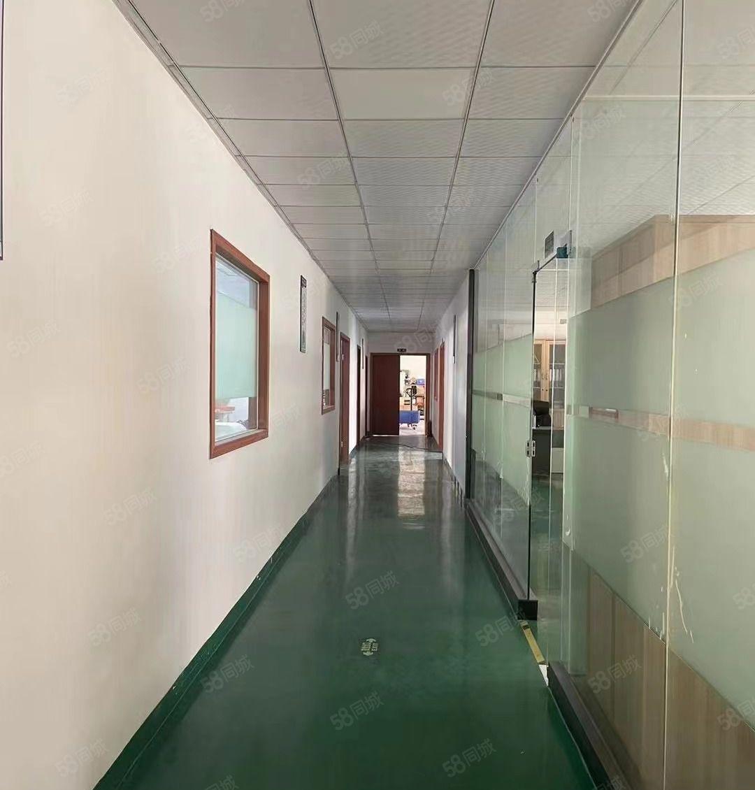 （独院）标准三层3600平方出租，有办公室装修