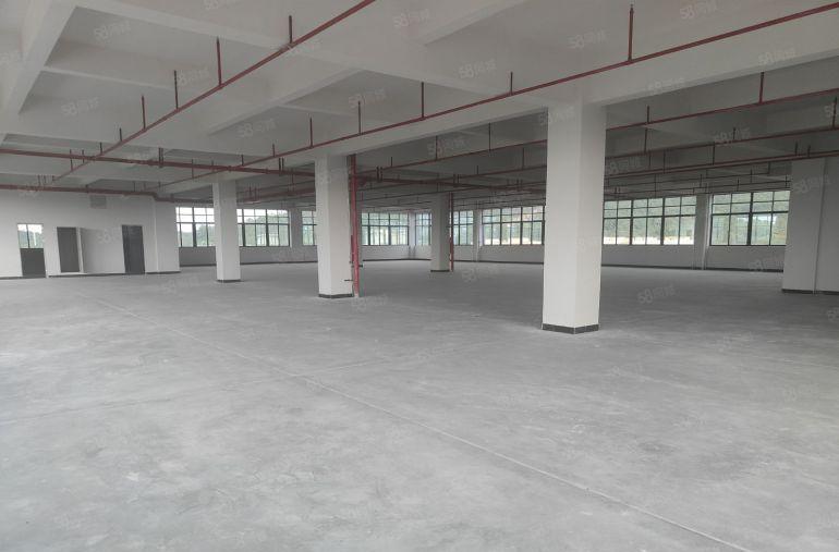 常平镇东深路附近原房东楼上全新带喷淋厂房出租工业用地实际面积