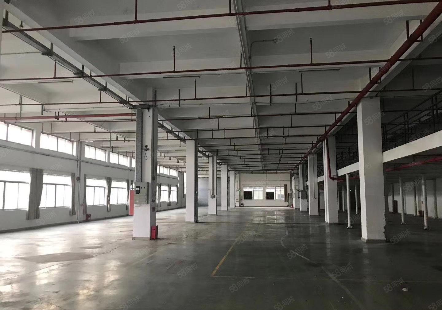 常平厂房出租，新出独院32000平，现成办公室，空地超大