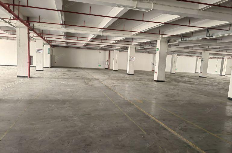 常平土塘火车站附近原房东独院3000平适合任何行业工业用地