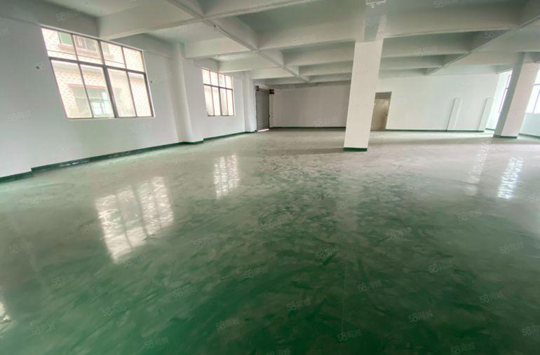 全新楼上 550平  适合电商电子组装加工等等