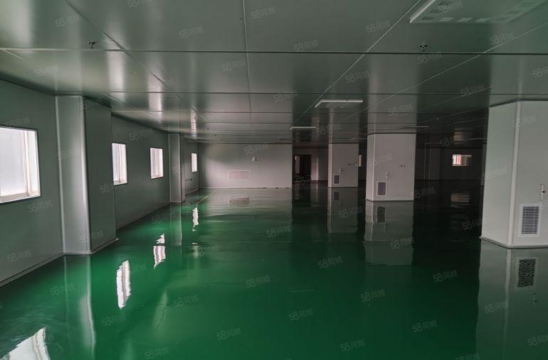 常平木伦新出1650平无尘车间设备都还保留无需过多装修