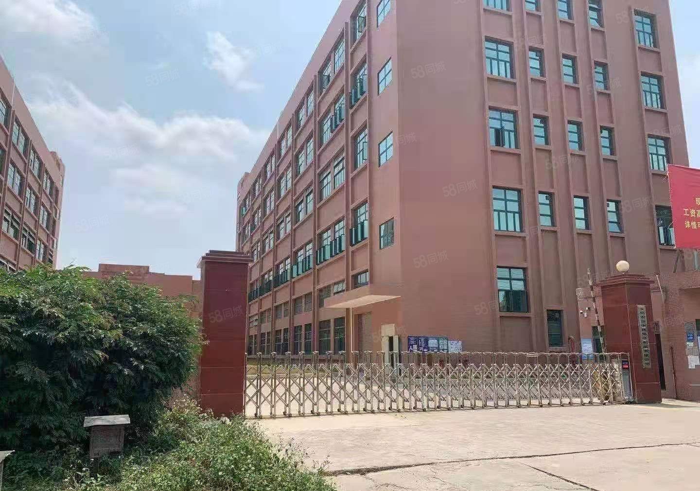 常平新出红本独院分租一栋五层10000平方，大小可分租