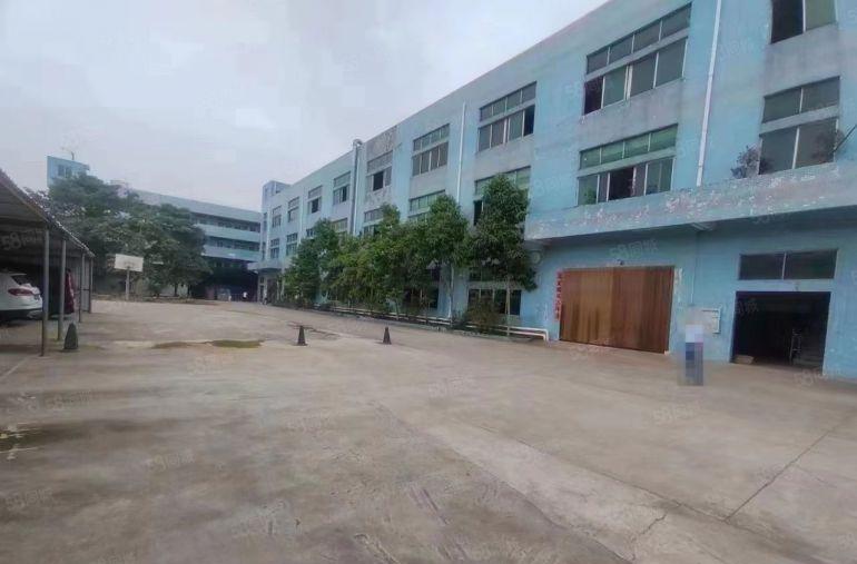 常平5000平标准物流仓出租，丙二类消防价格实惠