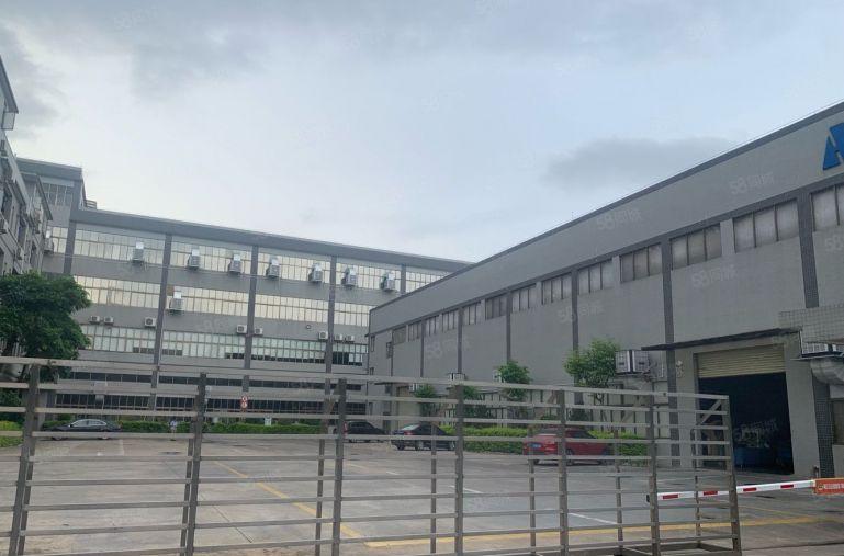 常平新出原房东独门独院15000平方红本厂房出租可分租