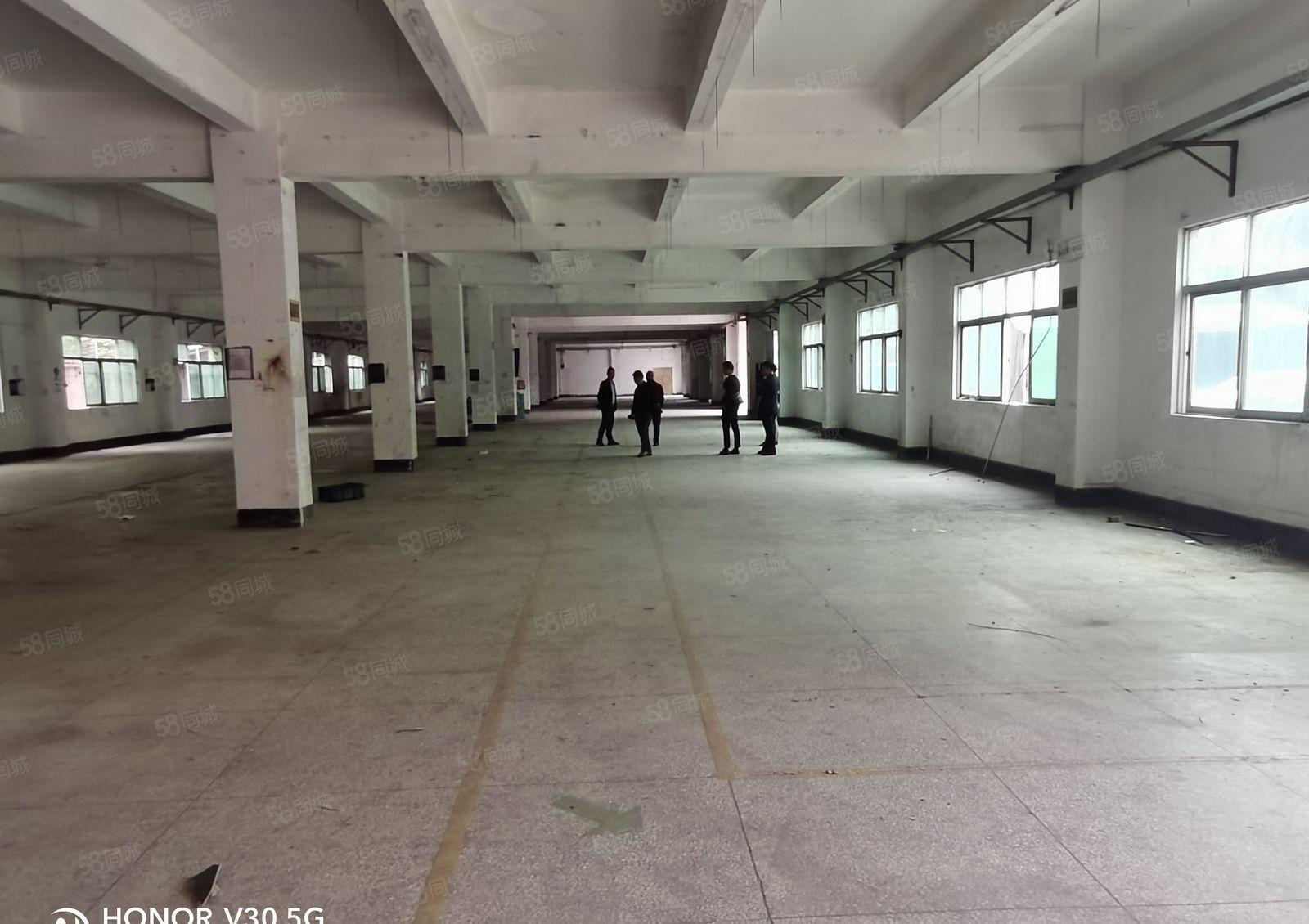 东莞常平标准红本独院厂房出租18000平 村委厂房 可办环评