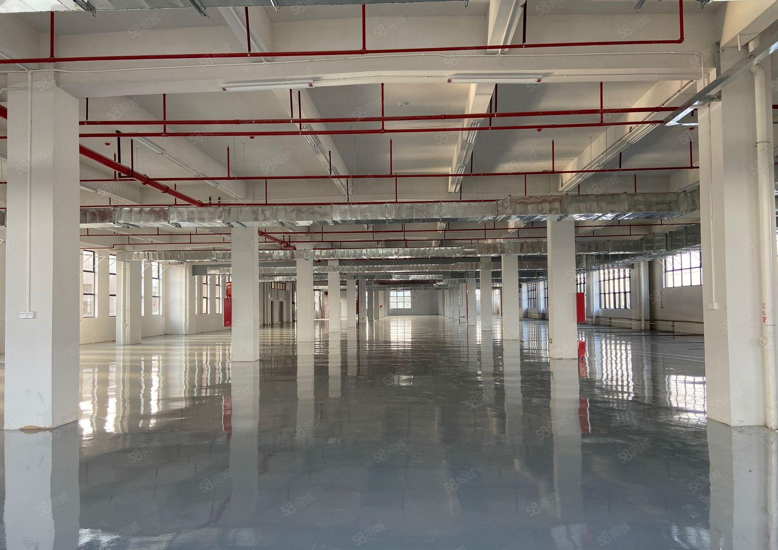 常平原房东红本独院18000平方，可分层租，带卸货平台