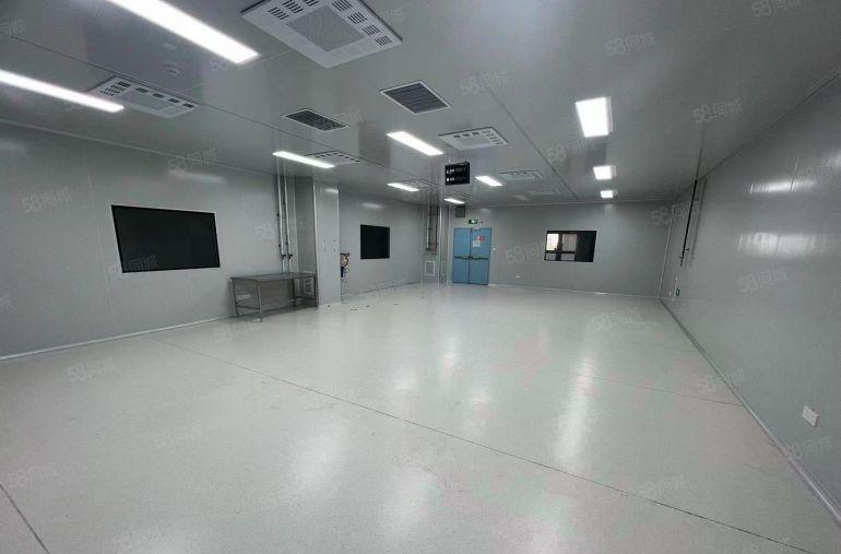 常平新出原房东独门独院8000平方精装修红本厂房可分租