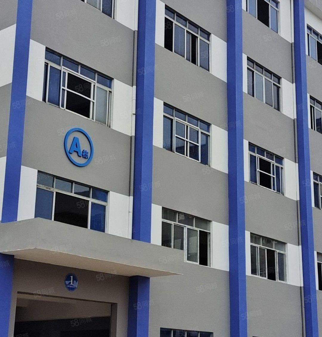 东莞常平白石岗高端厂房推荐，交通便利配套齐全好招工