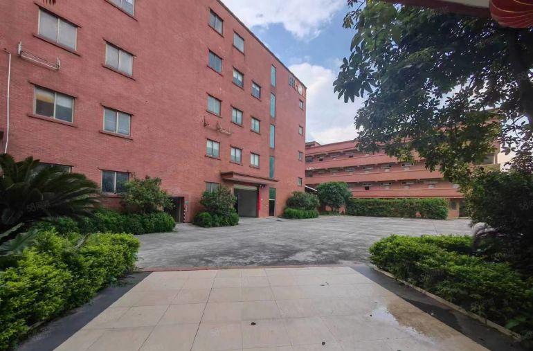 常平白石岗花园式大平层标准厂房分租楼上一整层3000平方低价